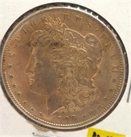 1900 Morgan Dollar