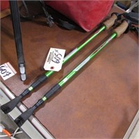 PR OF COLEMAN EXTENDABLE WALKING STICKS