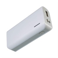 Bluehive 4,000 mAh Power Bank with Power