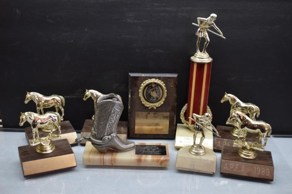 Assorted trophies