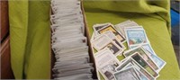 Magic the Gathering White Border Cards No Dates