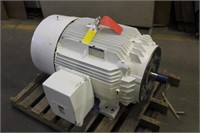 Oldenburg 150HP Electric Motor