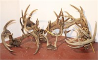 Assortment of Antlers (lot of 9)