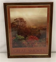 Great Smokies Framed Picture
