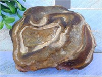 BRAZILIAN AGATE ROCK STONE LAPIDARY SPECIMEN