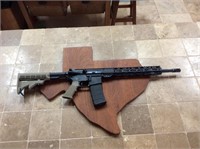 (NEW) Palmetto AR-15 w/clip