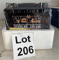Weize 12V Battery