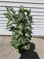 Artificial Plant 4' Tall