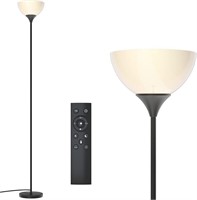 PESRAE Floor Lamp, Remote Control with 4 Color Te