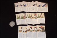 Lot of 36 Vintage Krug's Baking Company Bird Cards