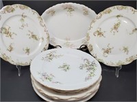 Collection of Johnson Brothers Plates
