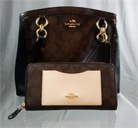 Coach Genuine Leather Purse and Wallet