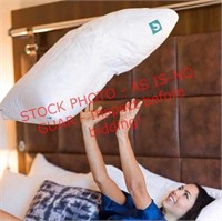 Sleepgram King pillow