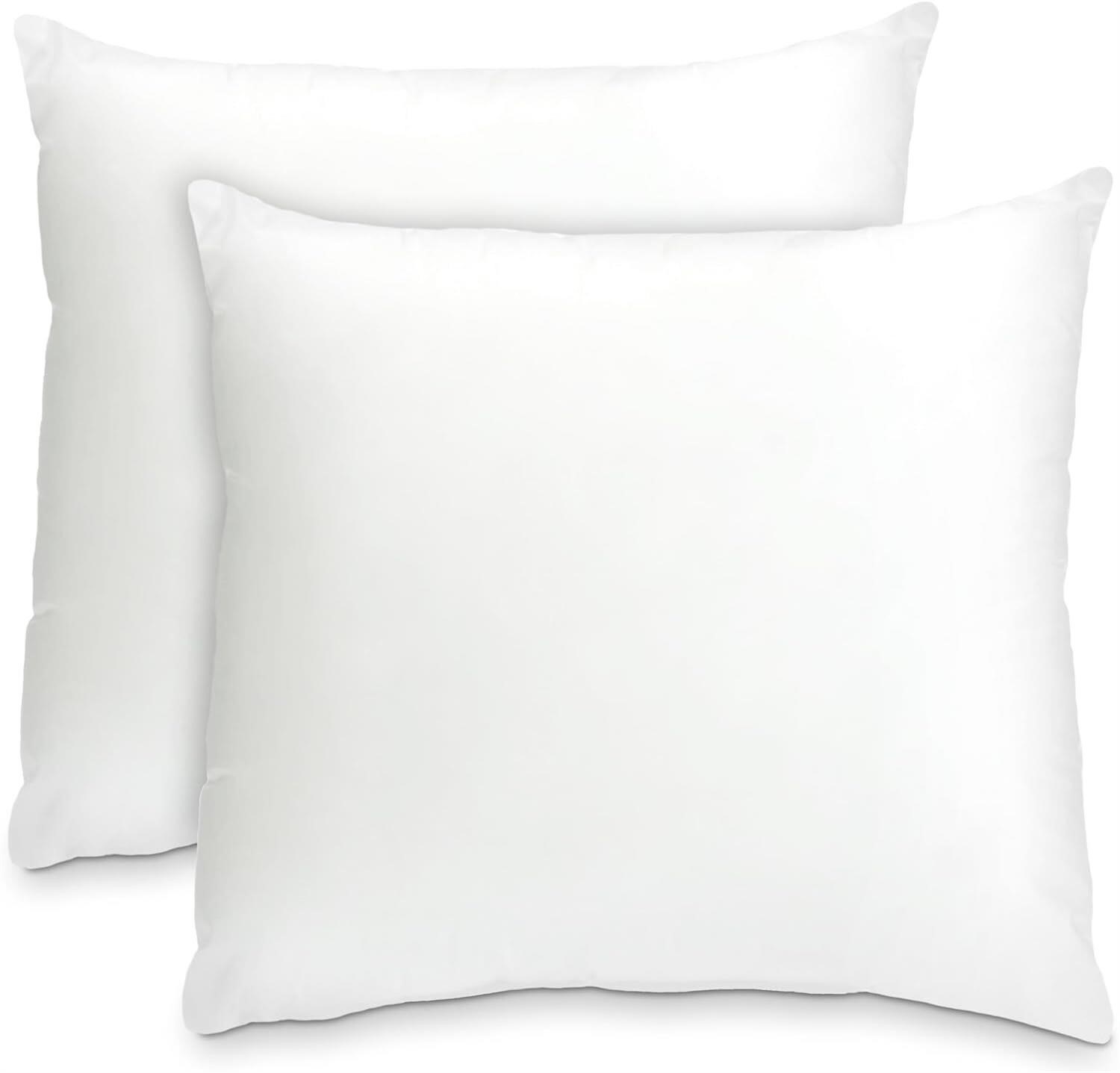 Foamily Throw Pillows Insert Set of 2-18 x 18