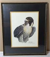 'Peregrine Falcon' Ray Harm Signed & Numbered