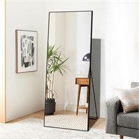 Dolonm 64x21 Inch Full Length Mirror, Aluminum