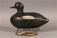 White Winged Scoter Decoy by Unknown East coast