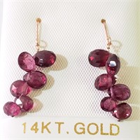 $800 14K  Garnet(6ct) Earrings