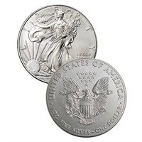 Random Date US Silver Eagle 1oz.