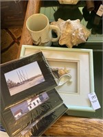 Beach photos, framed shell picture, conch shell