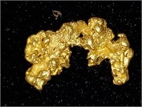 Gold Nugget #2