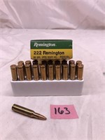 Remington 222 50 Grain Soft Point