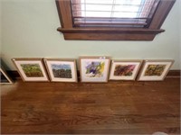 5- Framed Ink and Watercolors by John Schartung
