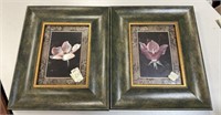 Two Decorative Framed Flower Prints