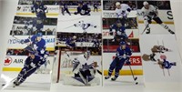 TORONTO MAPLE LEAF PHOTOS