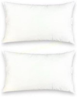 AZARYA Pillow Insert Set of 2 (12x20)