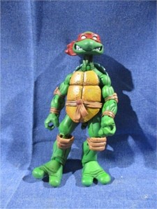 Teenage Mutant Ninja Turtle