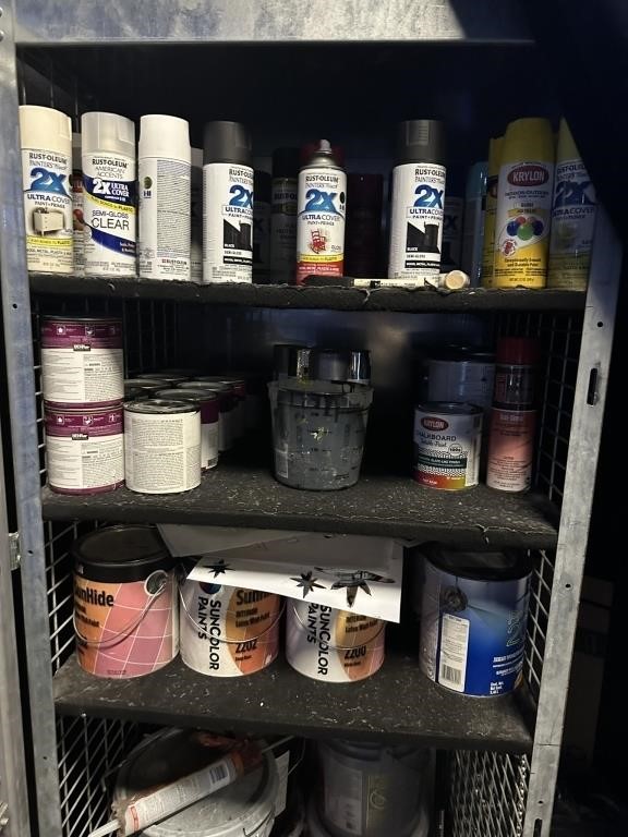 LOT - PAINTS, SPRAY PAINT & MORE - (RUST-OLIUM,