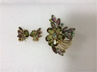 Vintage Costume Jewelry Brooch & Clip-on Earrings