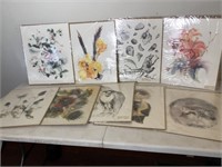 Lot of Watercolor Art Prints