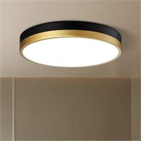 MYTH REALM 13" LED Ceiling Light Fixture with