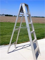 Aluminum Ladder - 6 Foot Tall