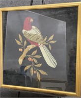 Framed Needlepoint of Parrot