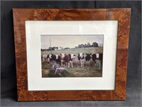Framed photo print of cows