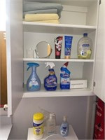 Cleaning Supplies in Cabinet (Hall Bath)