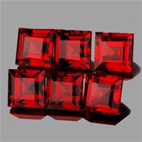 Natural Red Garnet 5 Pcs{Flawless-VVS}