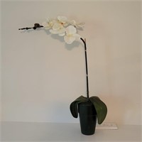 Ceramic Pot w/ Artificial Orchids 22"T