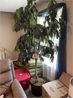 Large Faux Tree/Plant