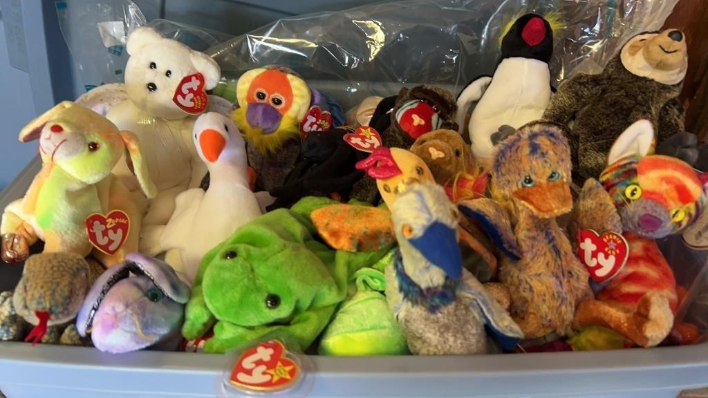 Beanie Babies tote lot