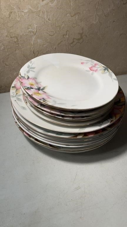 Nippon China Hand-painted 8 Place Setting