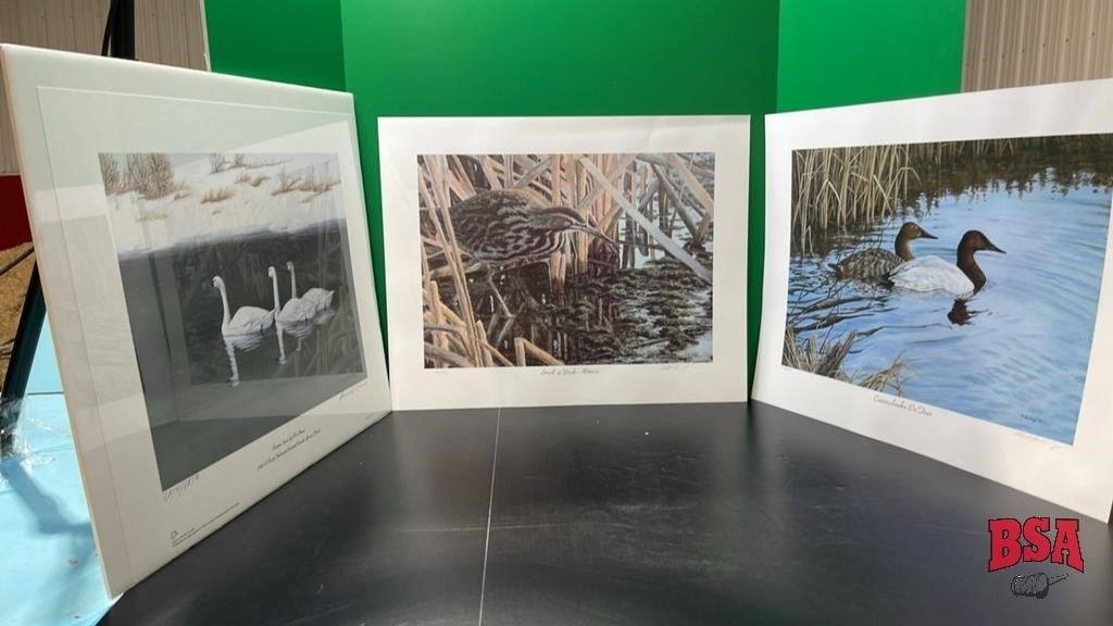 3 Prints: Canvas Back, Bittern & Swans