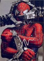 Autograph COA Spiderman Photo