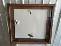 Vintage Wooden Display Case w/ Plexiglass