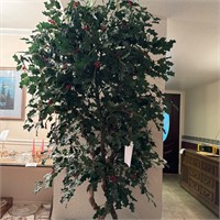 Large Silk Hollyberry Tree