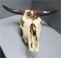 Cow skull with horns. Measures: 6.25" H x 16.5"