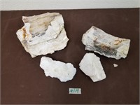 Petrified Wood, quartz